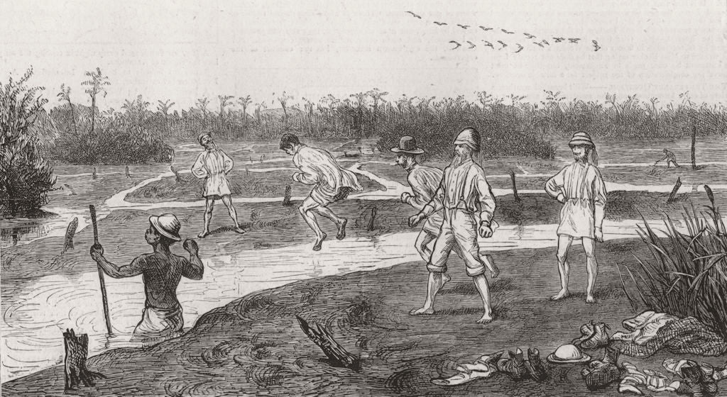 WEST INDIES. Crossing pitch lake, Trinidad  1874 old antique print picture